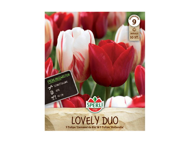 Lovely Duo tulipán színkeverék
